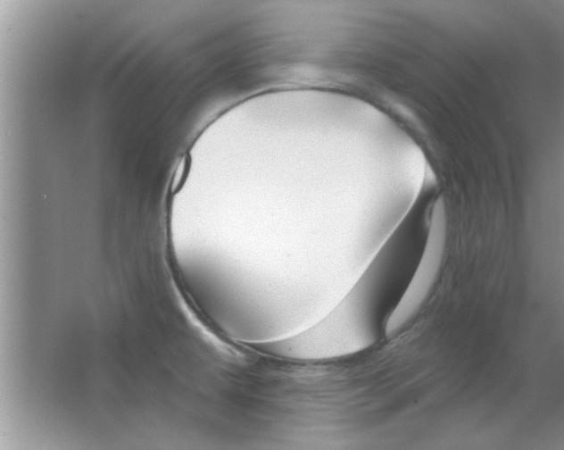 X0000065971479200603311826