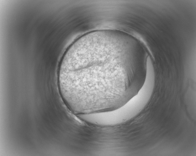 X0000065971480200603311826