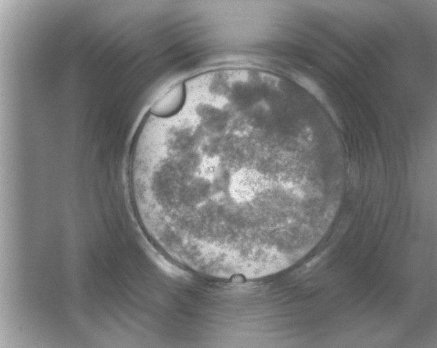 X0000065971482200603311826