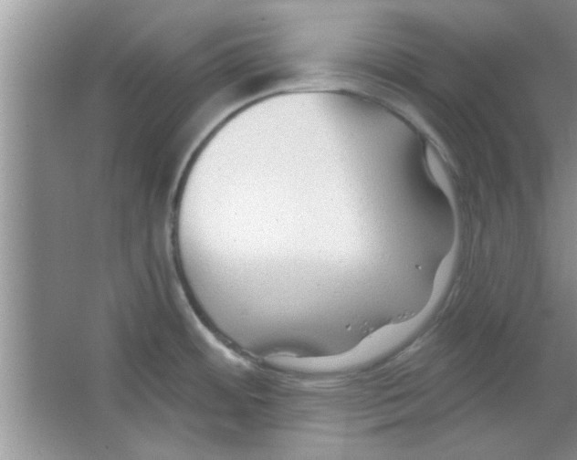 X0000065971484200603311826