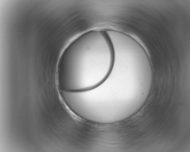 X0000065971485200603311825