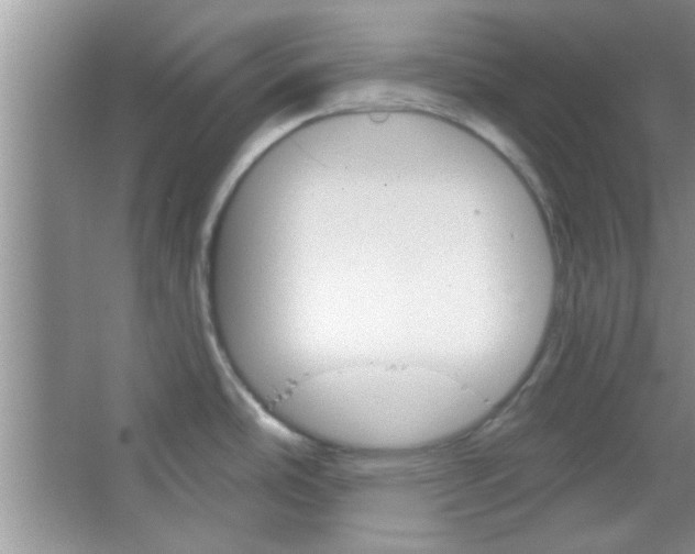 X0000065971486200603311825