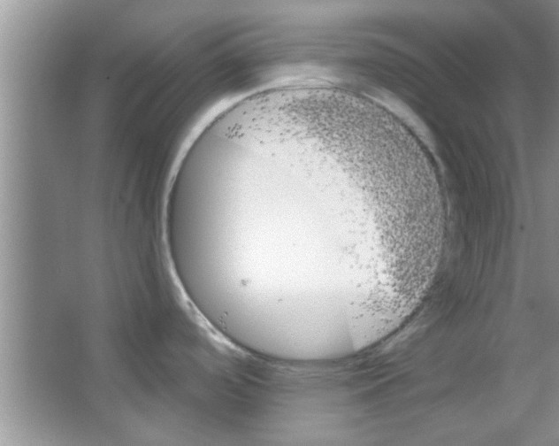 X0000065971488200603311825