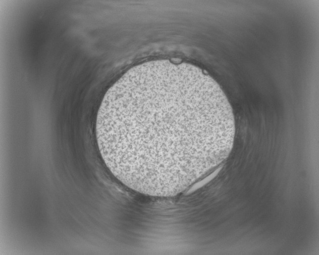 X0000065971489200603311825