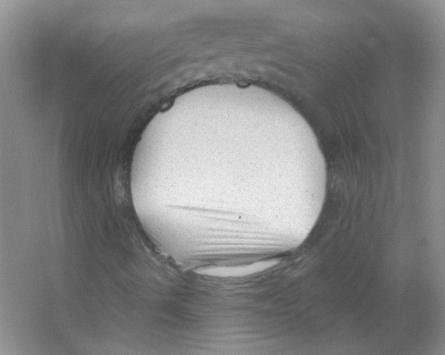 X0000065971490200603311825