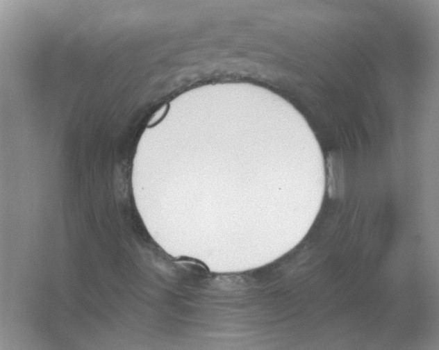 X0000065971491200603311825