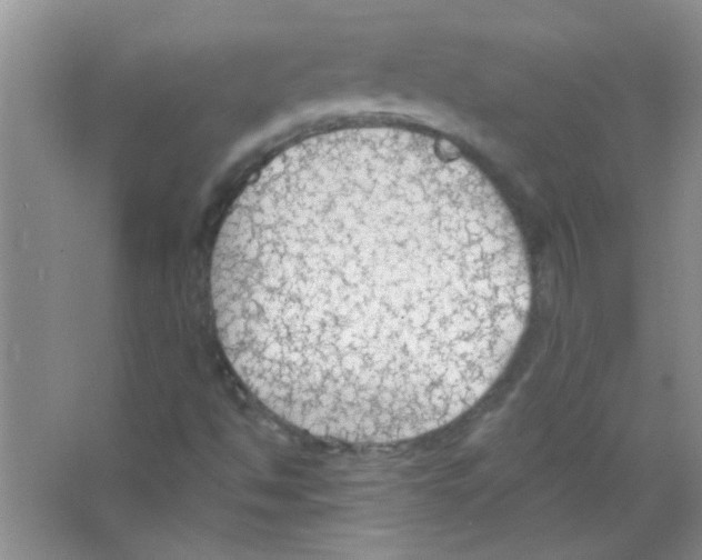 X0000065971494200603311825