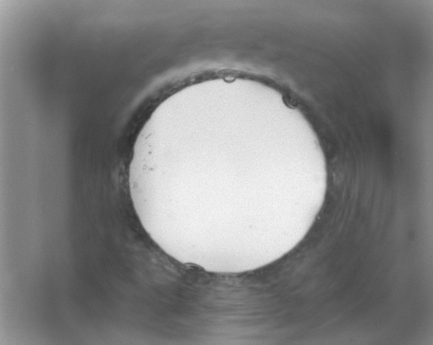 X0000065971495200603311825