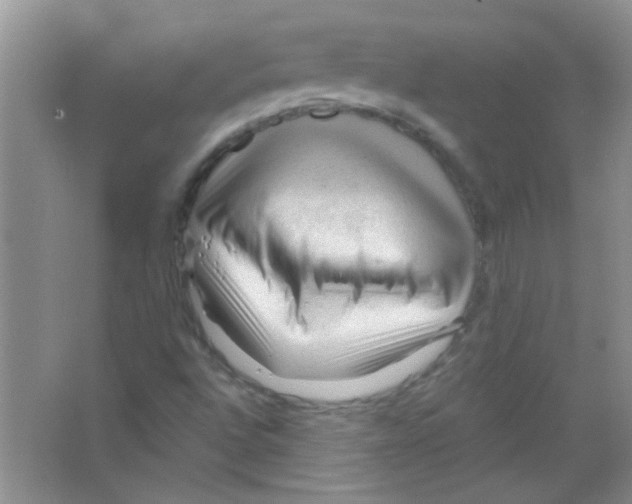 X0000065971496200603311825