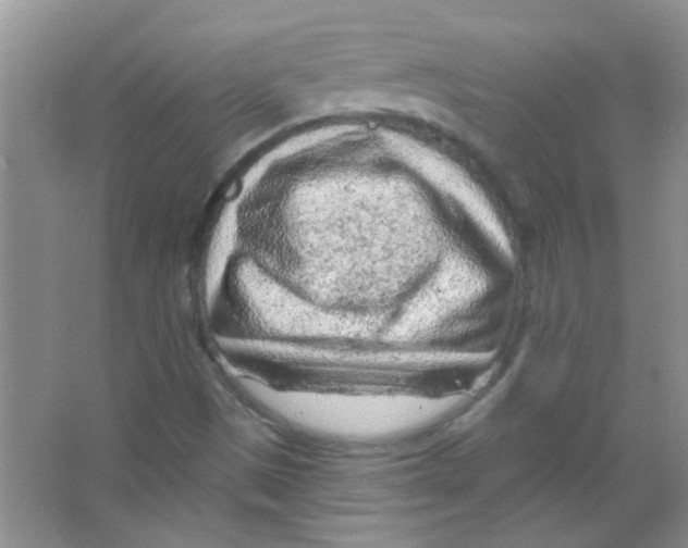 X0000065971497200603311825