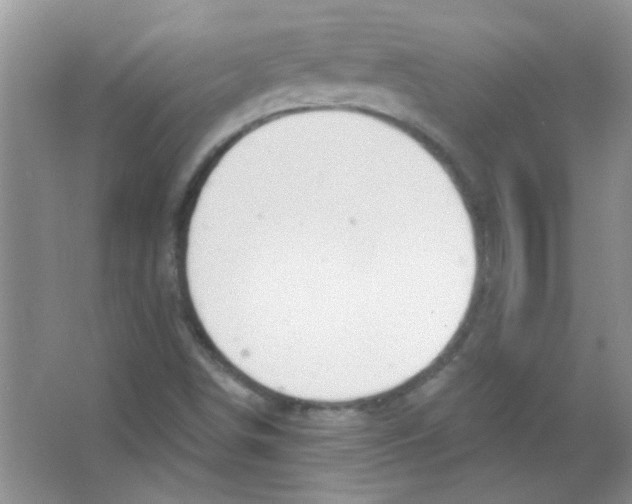 X0000065971498200603311825