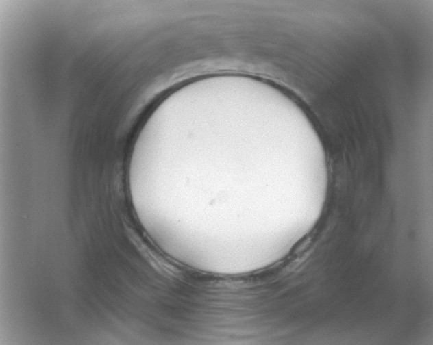 X0000065971499200603311825