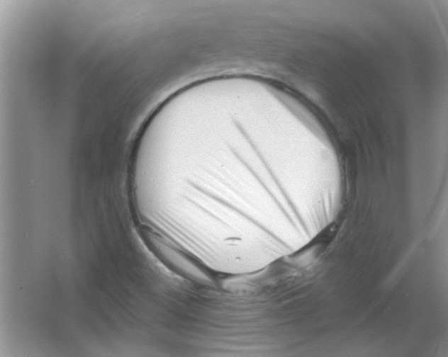 X0000065971500200603311825