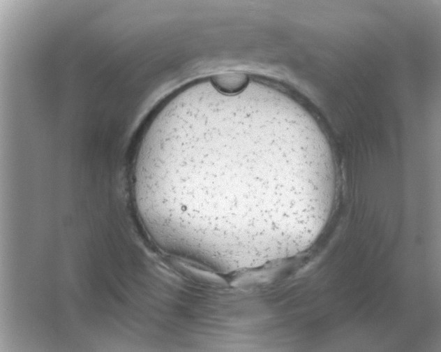 X0000065971501200603311825