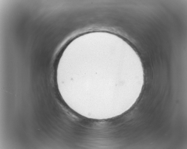 X0000065971502200603311825