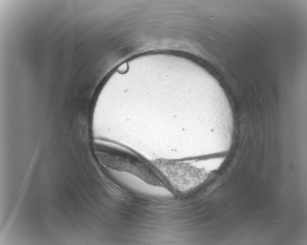 X0000065971505200603311825