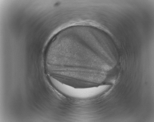 X0000065971506200603311825