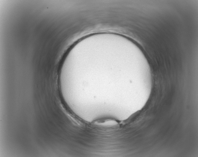 X0000065971507200603311825