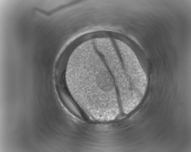 X0000065971508200603311825