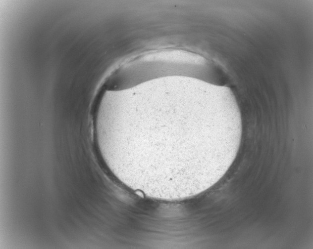 X0000065971509200603311825