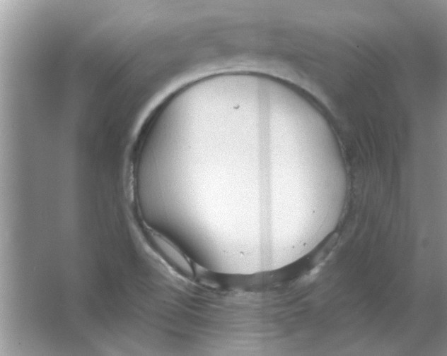 X0000065971510200603311825