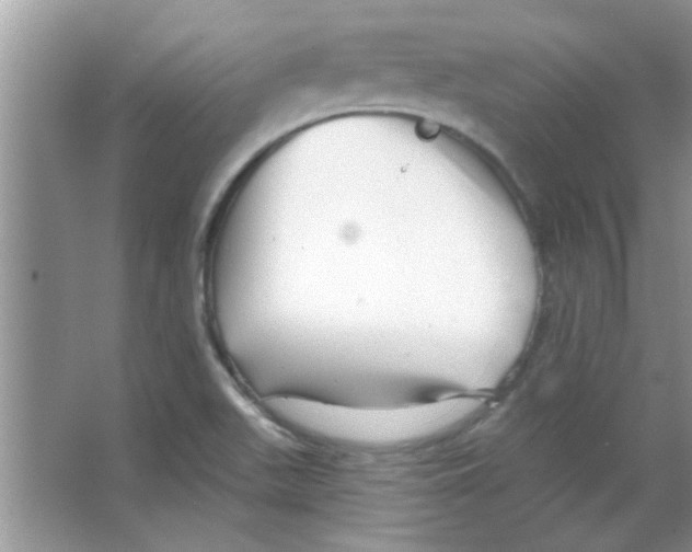 X0000065971511200603311825