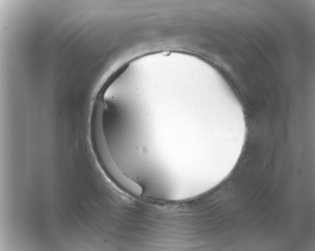 X0000065971512200603311825