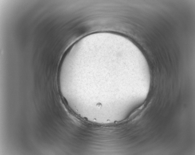 X0000065971513200603311825