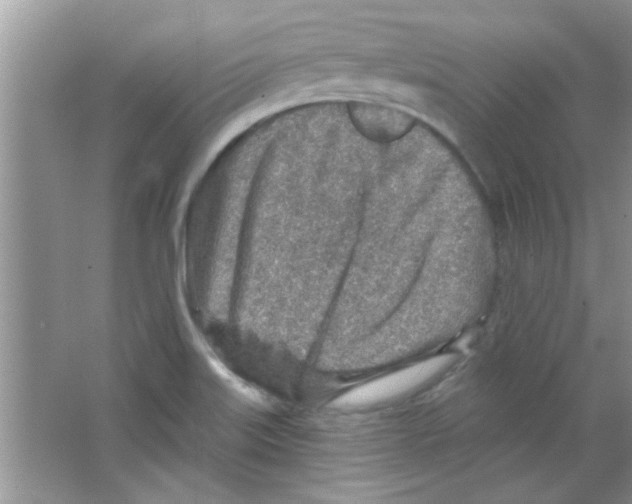 X0000065971515200603311825