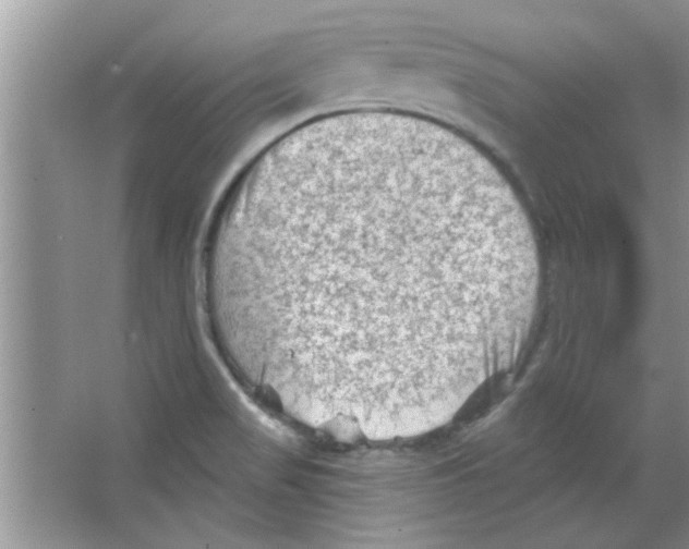 X0000065971517200603311825