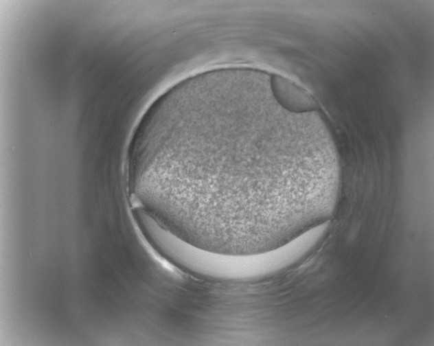 X0000065971519200603311825