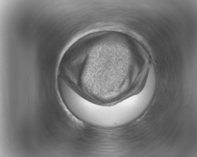 X0000065971520200603311825