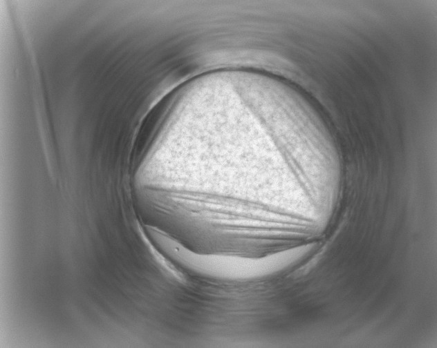 X0000065971521200603311825