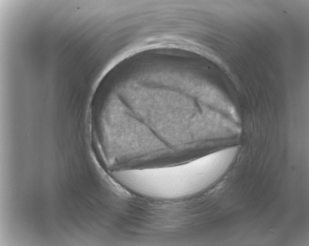 X0000065971522200603311825