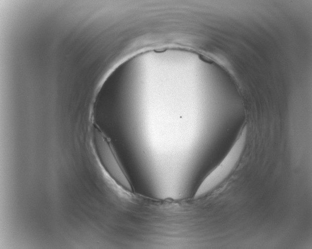 X0000065971524200603311825