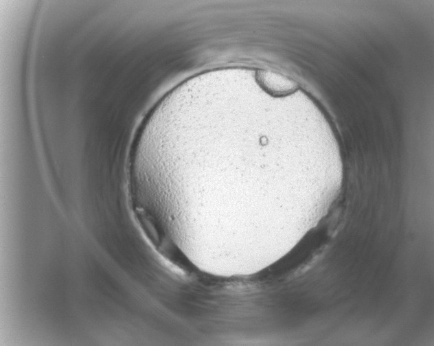 X0000065971525200603311825