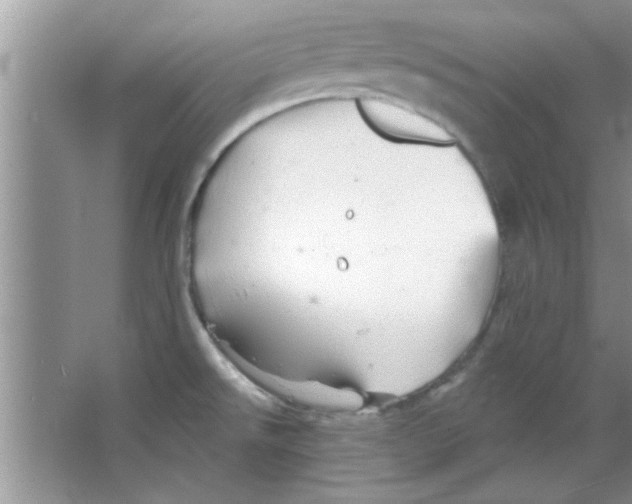 X0000065971526200603311825