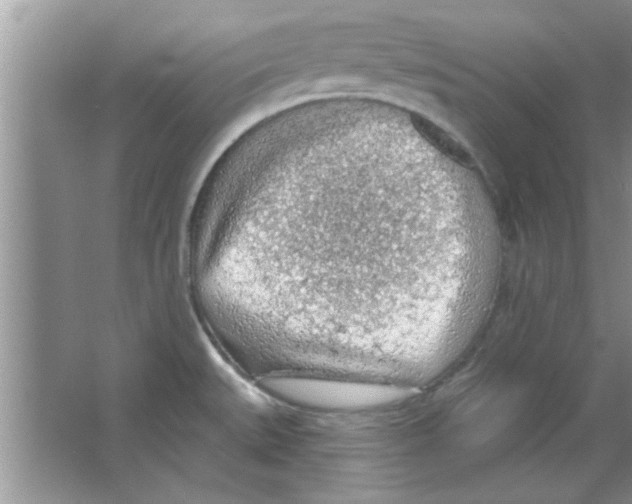 X0000065971527200603311825