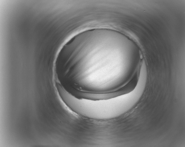 X0000065971528200603311825