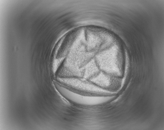 X0000065971529200603311825