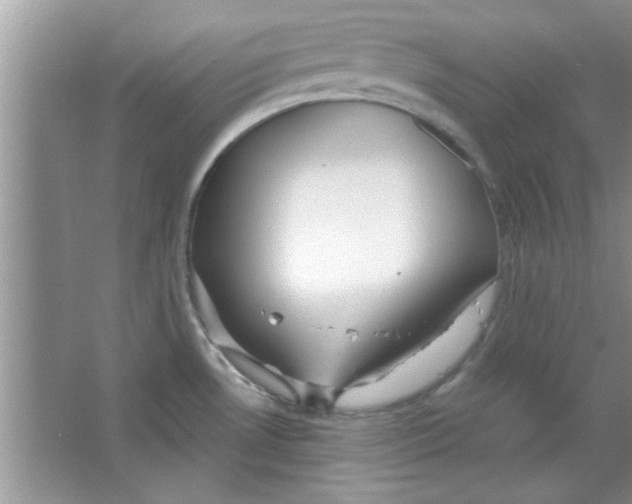 X0000065971530200603311825