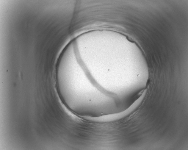 X0000065971531200603311825