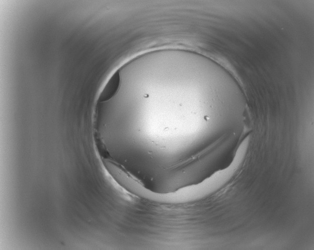 X0000065971532200603311825