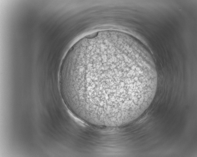 X0000065971535200603311825