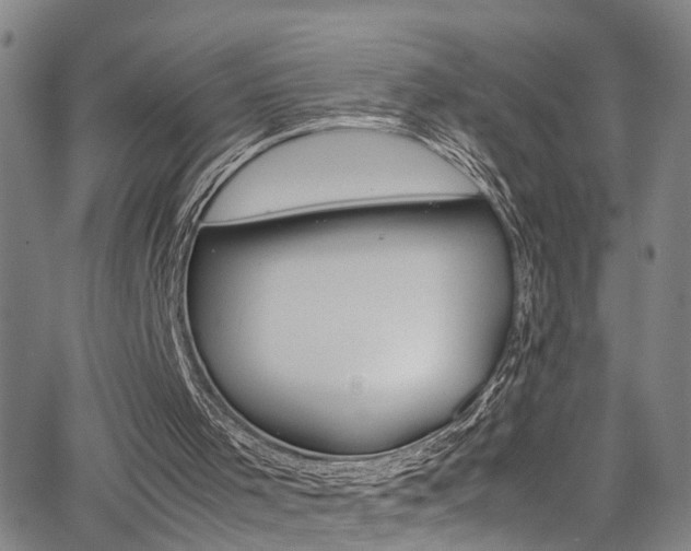 X0000065980001200603030942