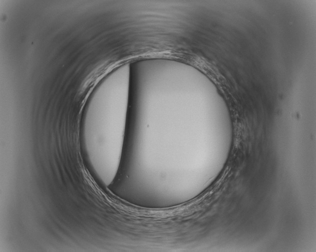 X0000065980002200603030942