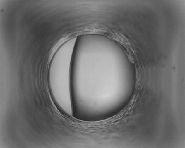 X0000065980003200603030942