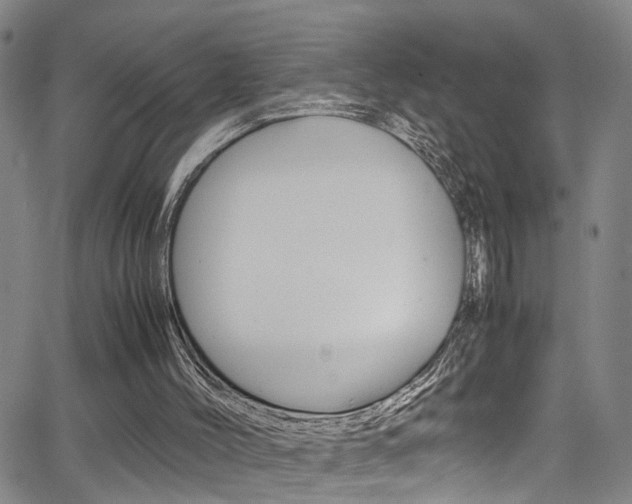 X0000065980004200603030942