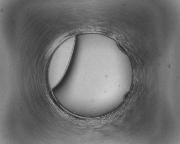 X0000065980005200603030942