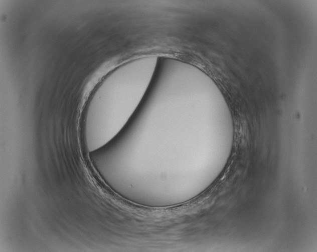 X0000065980006200603030942